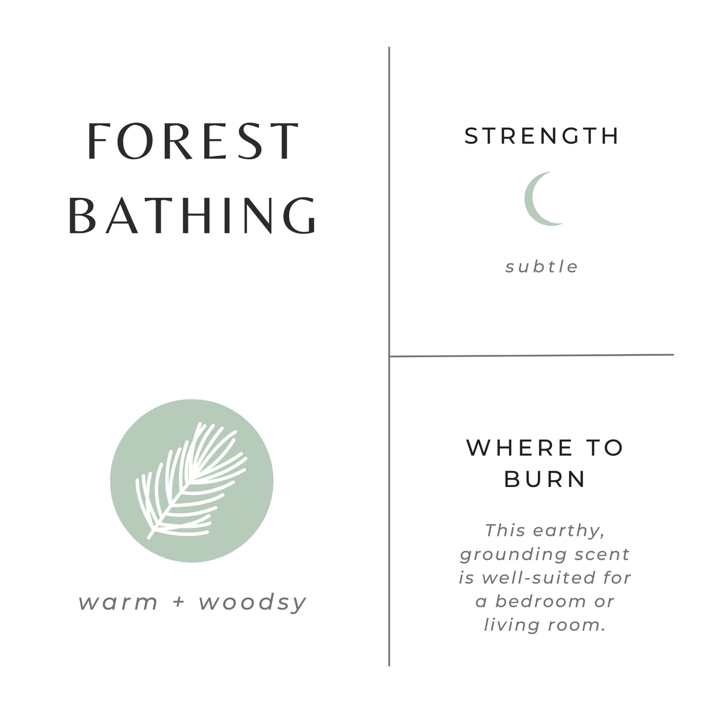 Forest Bathing - Fir + Pine + Patchouli